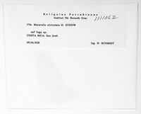 Image Associated With the Occurrence